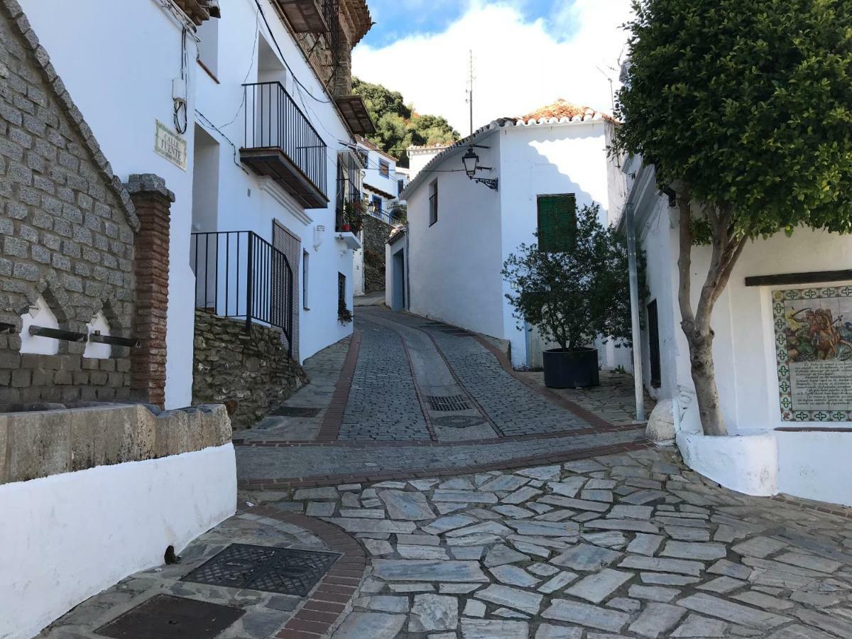 Casa Rural Pimentel Benalauría Εξωτερικό φωτογραφία